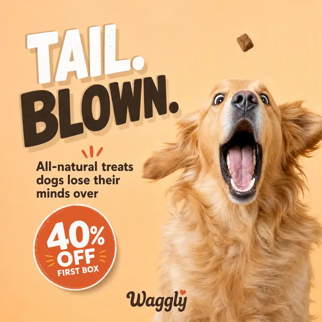 Generated dog treat ad: Tail. Blown.